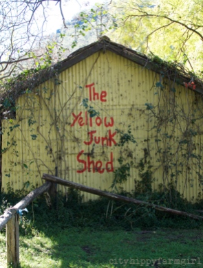 yellow junk shed || cityhippyfarmgirl