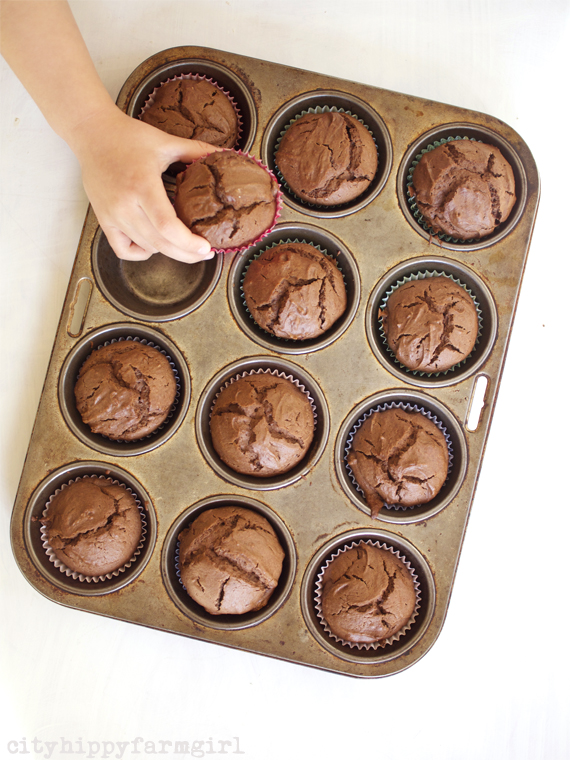 best ever chocolate muffins || cityhippyfarmgirl